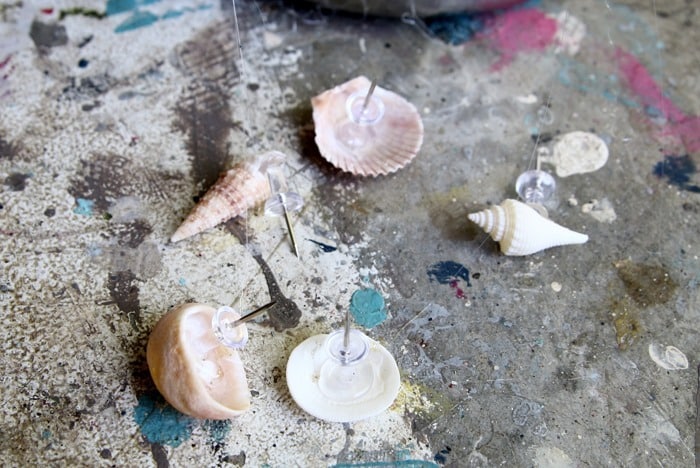seashell pushpins for cork board