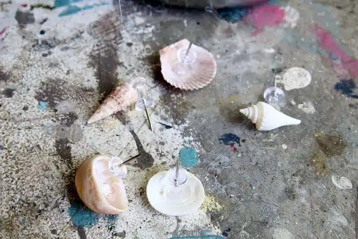 seashell pushpins for cork board