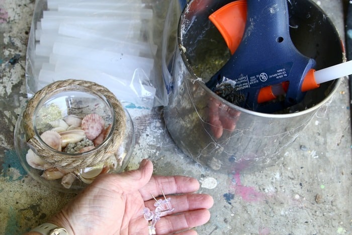 seashells for crafting project