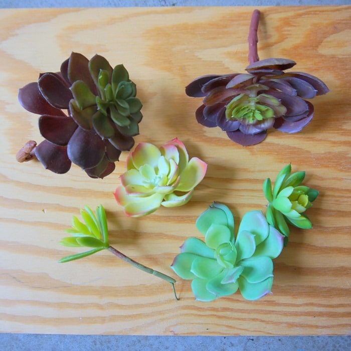 selection of faux succulents to spray paint for DIY project