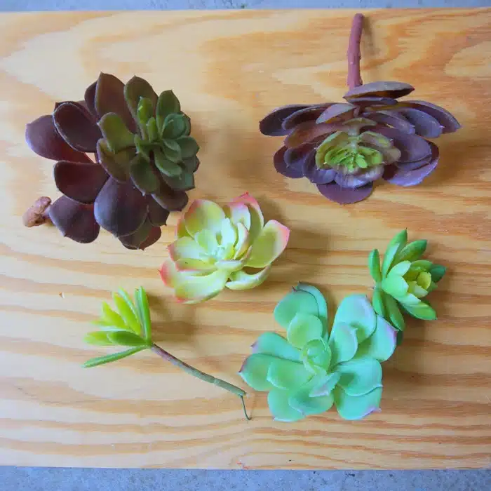 selection of faux succulents to spray paint for DIY project
