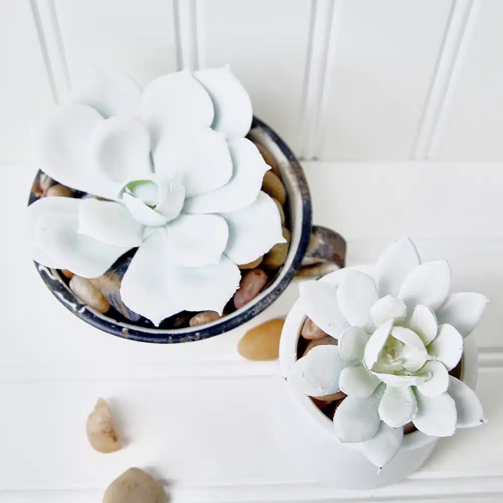 spray paint faux succulents white for Spring decor