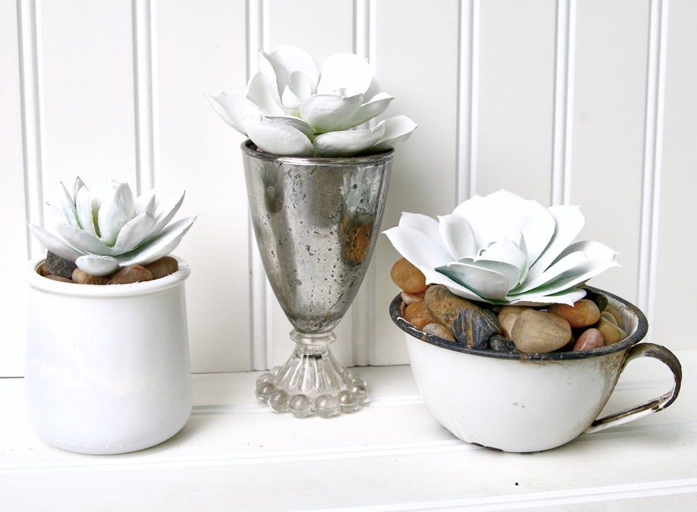 white faux succulents