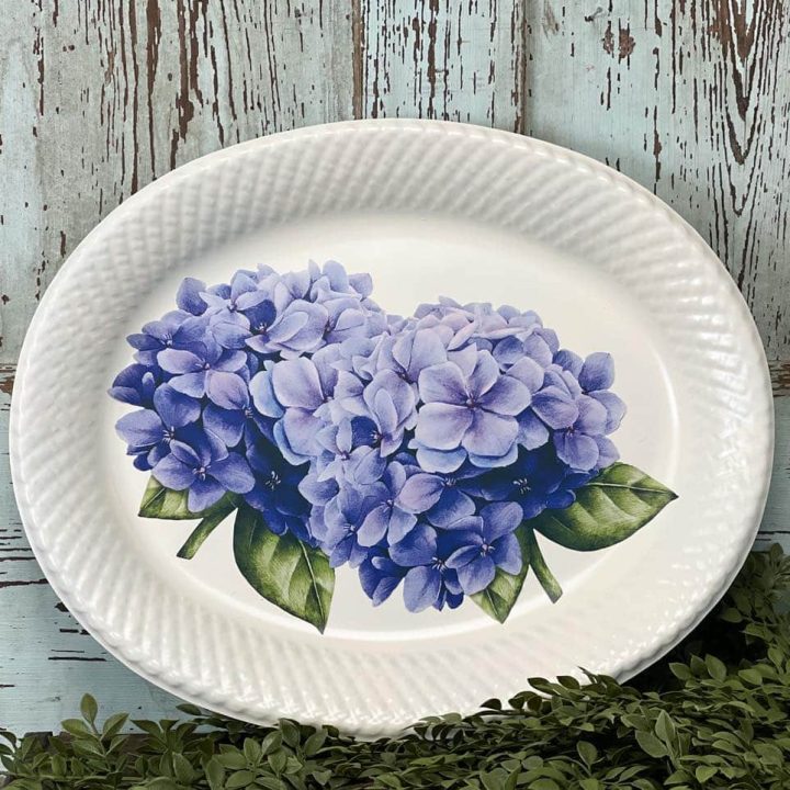 hydrangeas on painted tray