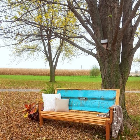 chippy tailgate bench