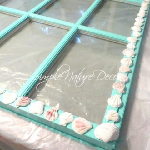 old window with shells