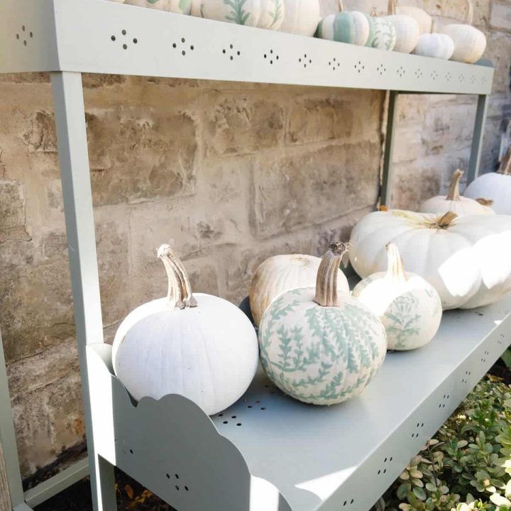 painted pumpkin display