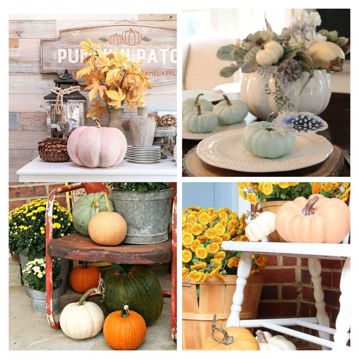 fall pumpkin decor collage