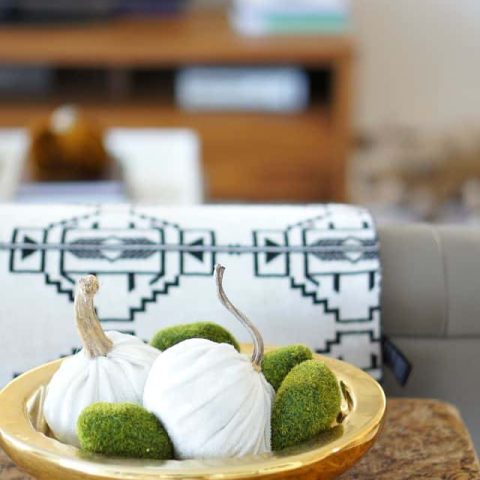 white velvet pumpins in a bowl