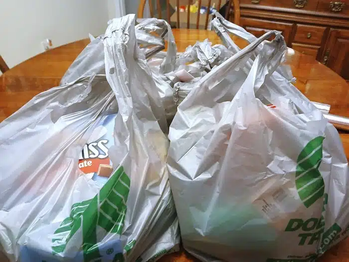 Dollar Tree bags