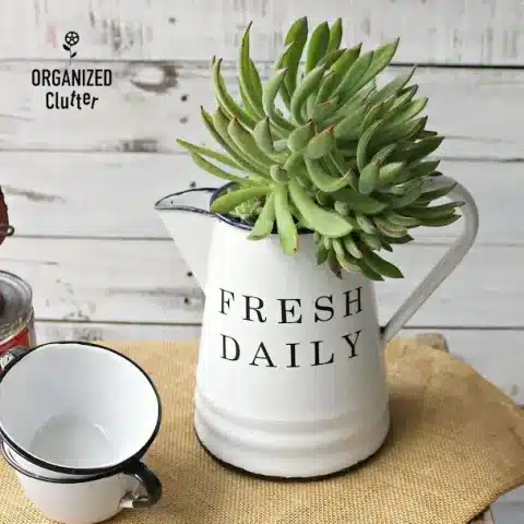 old coffee pot planter