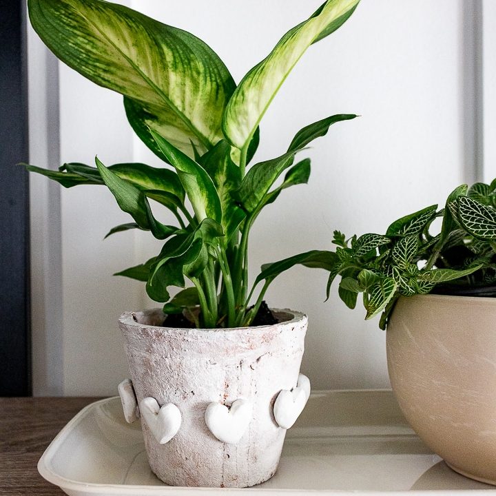 clay pot with diy hearts