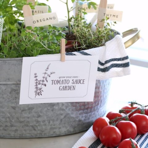 tomato sauce garden kit