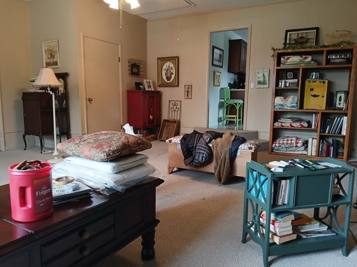new furniture and decorating a family room or living room (8)