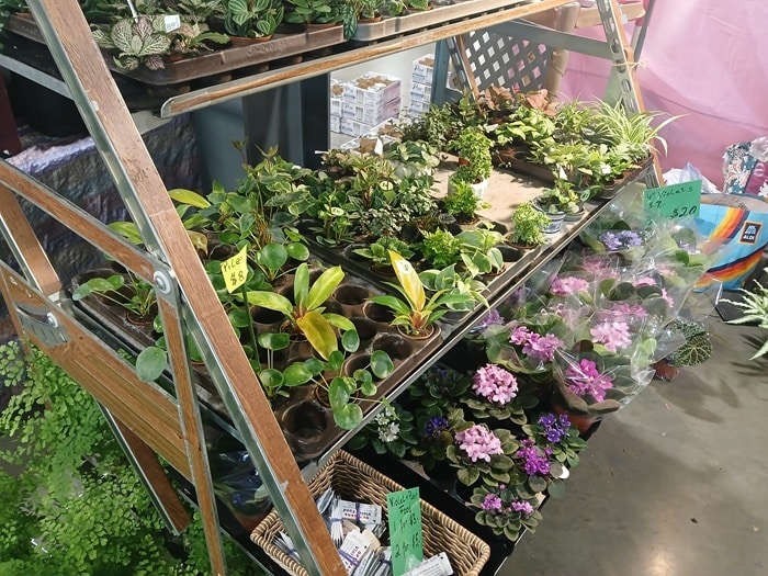 Nashville Flea Market Shopping Trip with Kathy Owen Petticoat Junktion (31)