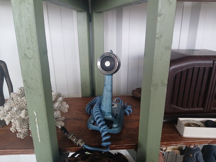 shopping at the Nashville Flea Market and talking with flea market vendors (4)