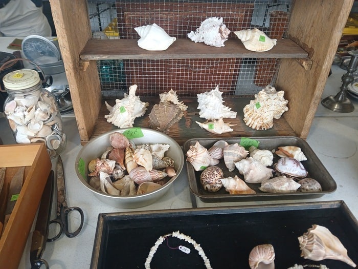 shopping at the Nashville Flea Market and talking with flea market vendors (6)