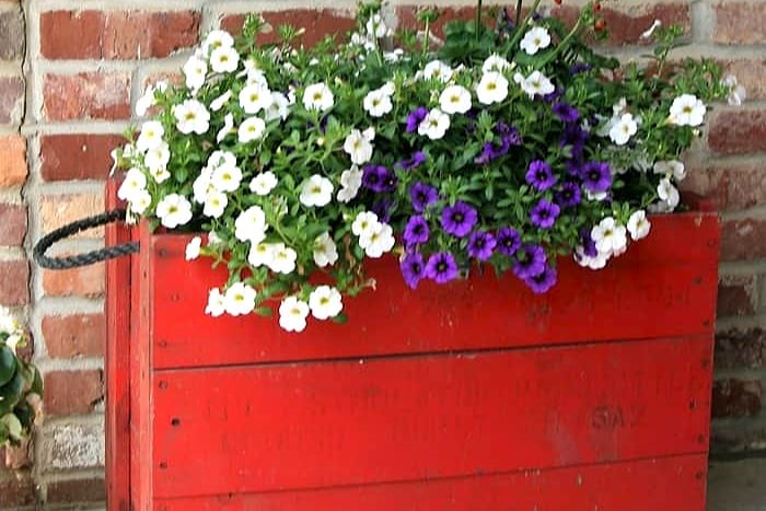red wood chest filled with potted flowers