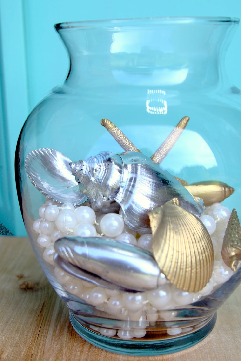 display seashells in a glass vase 