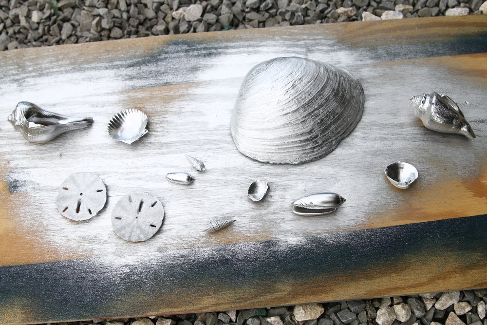 metallic silver seashell idea