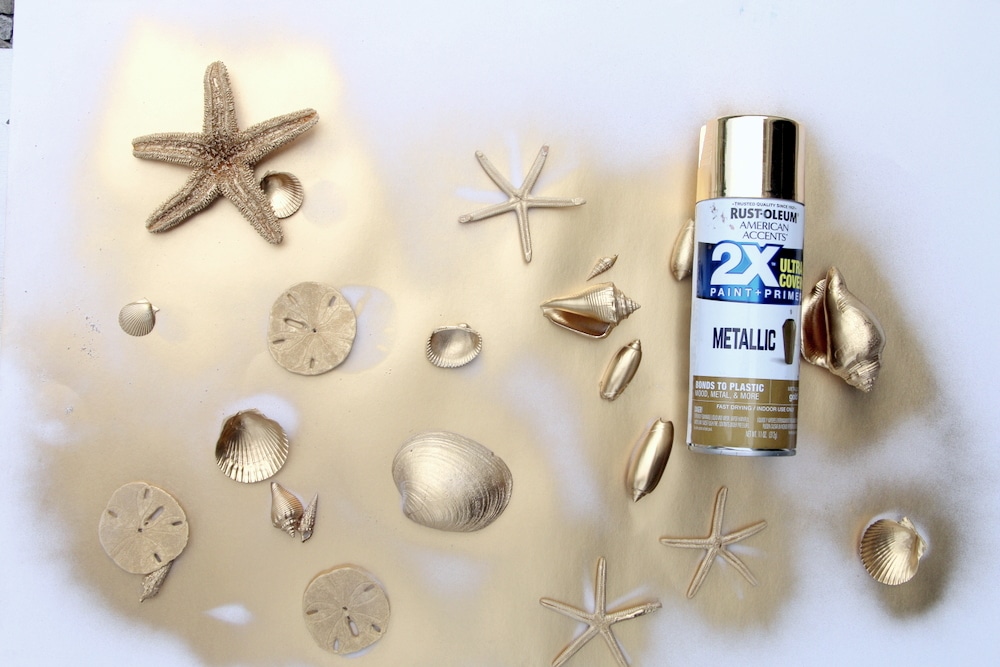 how to paint seashells gold