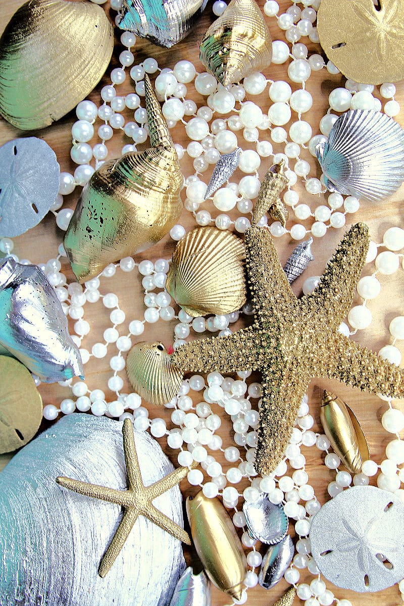 pretty seashells spray painted gold and silver 
