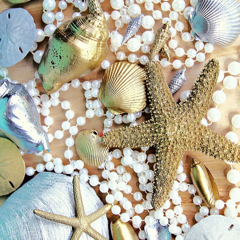 pretty starfish spray painted gold and silver