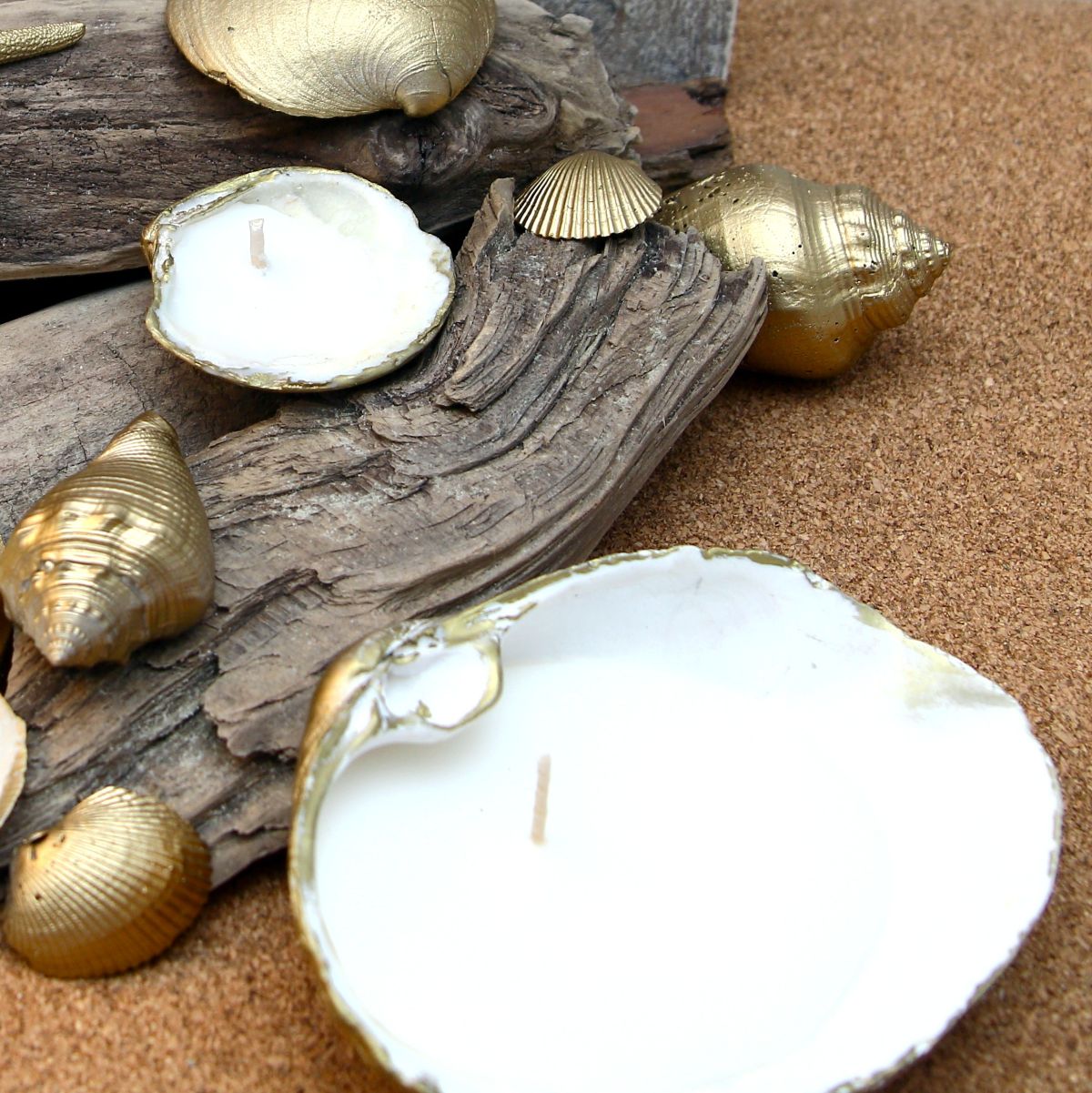 diy clamshell candles are a great way to display seashells for a coastal vibe