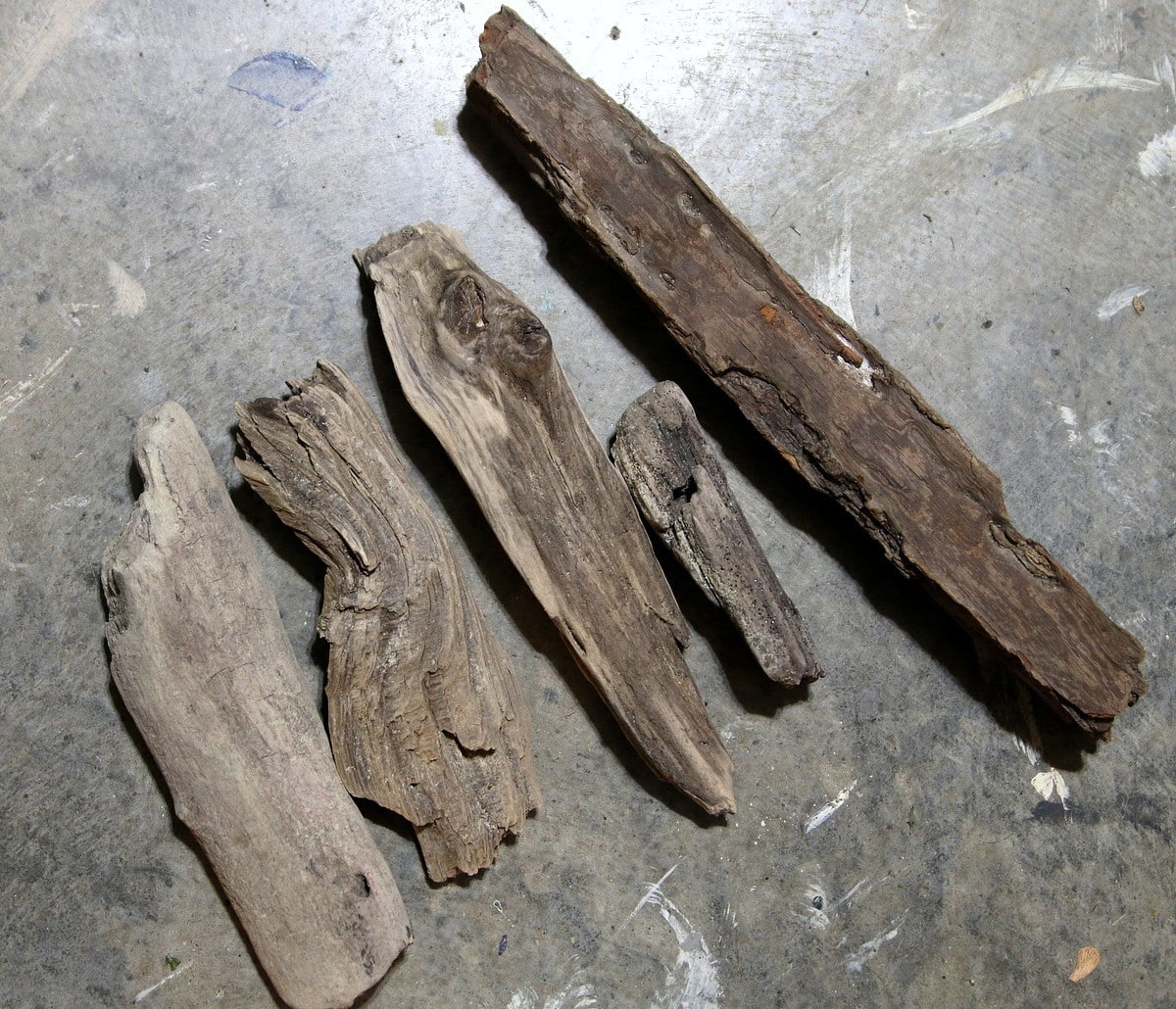 driftwood picked up on Orange Beach Alabama (Custom)