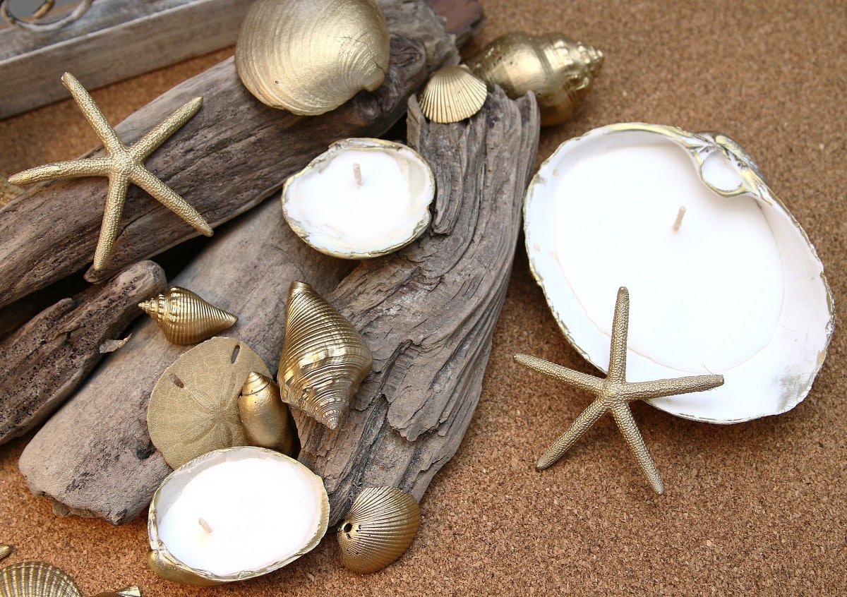 how to make small and large seashell candles
