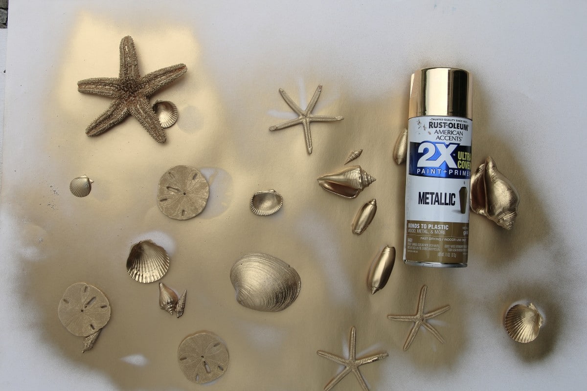 how to spray paint seashells metallic gold (Custom)