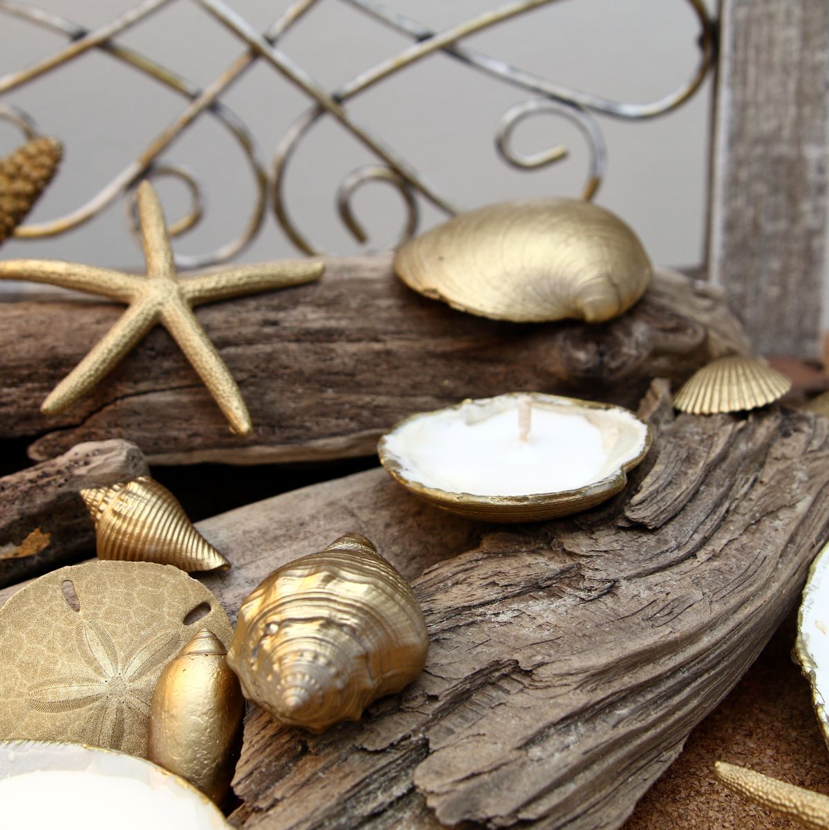how to spray paint seashells with RustOleum Metallic Gold Paint and make seashell candles for a coastal display